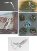 A Collection of five ornithological watercolours, drawings and prints- Paul Brown, "Kingfisher",