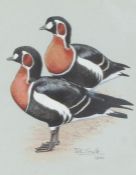 Sir Peter Markham Scott, CH, CBE, FRS, FZS, (British, 1909-1989) Red Breasted Geese signed and dated