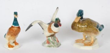 Three Beswick pottery models of a Mallard duck (No 817), Shelduck (No 995) & a further Mallard (No