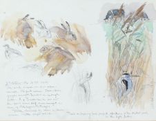 Robert Greenhalf (British, b.1950) 'Hares and Herons - Studies' signed (lower right),watercolour
