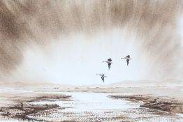 D.S (British, Contemporary) 'Greylags' signed and dated '05 (to reverse), monotone watercolour 28
