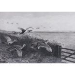 Archibald Thorburn (British, 1860-1935) Grouse in Flight signed in pencil (lower left), black and