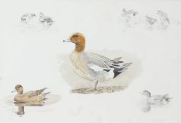 Ben Hoskyn (British, b.1963) Ducks signed and dated 1993 (lower right), watercolour 27 x 40cm (11" x