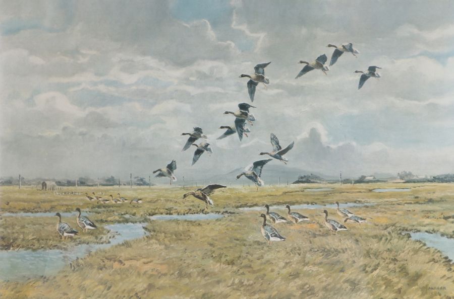 Hugh Monahan (British, 1914-1970) Geese Alighting signed (lower right), coloured artist's proof,