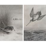 Archibald Thorburn (British, 1860-1935) Jack Snipe and companion signed in pencil (lower left), pair