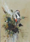 Roland Green (British, 1890-1972) Great Spotted Woodpecker signed (lower right), watercolour and