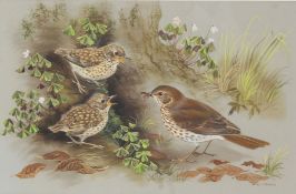 Paul Alexander Nicholas (British, 1943-2007) 'Song Thrush Feeding Young' signed (lower right),