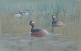 Donald Watson (British, 1918-2005) 'Black Necked Grebes' signed and dated 1969 (lower left),