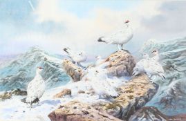 Carl Donner (British, b.1957) 'Ptarmigan on the High Tops' signed (lower right), watercolour 37 x