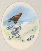 David Orr Kerr (British, b.1951) Golden Eagle signed (lower right), watercolour 47 x 37cm (18.5" x