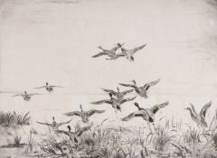 Roland Green (British, 1890-1972) Mallard Alighting over a Broad signed (lower right), trial proof