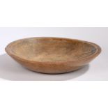 A large 19th Century sycamore bowl, dug our with a flat lip, 48cm diameter