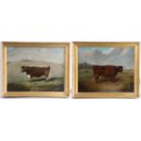 English School (19th Century) Primitive Longhorn Cows in Landscape pair of oils on canvas 42 x