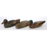 A collection of three decoy ducks, one painted as a mallard, another in brown and the third with