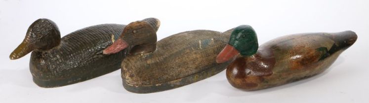 A collection of three decoy ducks, one painted as a mallard, another in brown and the third with