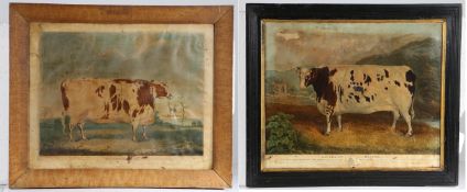 William (The Younger) Ward, (British 1829-1908) 'The Babworth Ox' also 'The Craven Heifer' (by