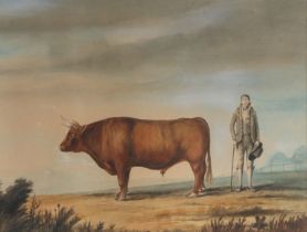 Annabella Norford (British, active circa 1800) The Wanlip Bull, watercolour, 38cm x 50.8cm The