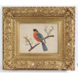 An early 19th Century silk work picture of a bullfinch, housed in a gilt and glazed frame, the