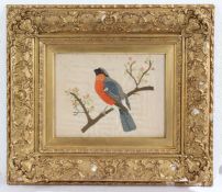 An early 19th Century silk work picture of a bullfinch, housed in a gilt and glazed frame, the