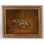 G. Gregory (19th century) Portrait of a dappled grey MINATURE horse, in stable, signed & dated