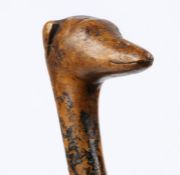 A vintage hand carved walking stick with the handle carved as the head of a Whippet, possibly Irish,