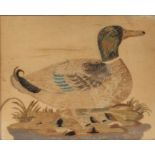 An early 19th Century silk picture of a mallard, housed in a gilt, ebonised and glazed frame, the