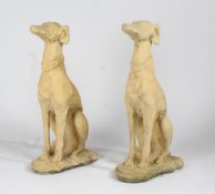 A Pair of composite greyhounds in a seated position, 79cm high