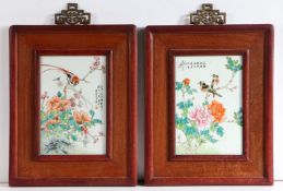 Pair of 20th century Chinese Famille Rose wall plaques, depicting exotic birds perched on a