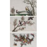 Chinese School (19th Century) Birds and Insects on Branches watercolour on rice paper 17 x 28cm (