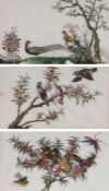 Chinese School (19th Century) Birds and Insects on Branches watercolour on rice paper 17 x 28cm (
