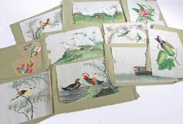 A collection of Chinese export rice paper pictures, to include exotic birds, junks, seated
