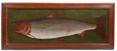 Muir (20th Century) Study of a Salmon Signed and dated 1938, further inscribed "17.8lb" (lower