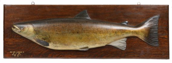 A rare early 20th century carved and polychrome-decorated trophy of a Salmon, by Edward Gerrard &