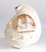 A large 19th century Grand Tour cameo carved conch shell, worked in relief depicting a Roman