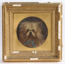 F E Williams (19th Century) Dog Study signed and indistinctly dated, oil on board 18cm (7in)