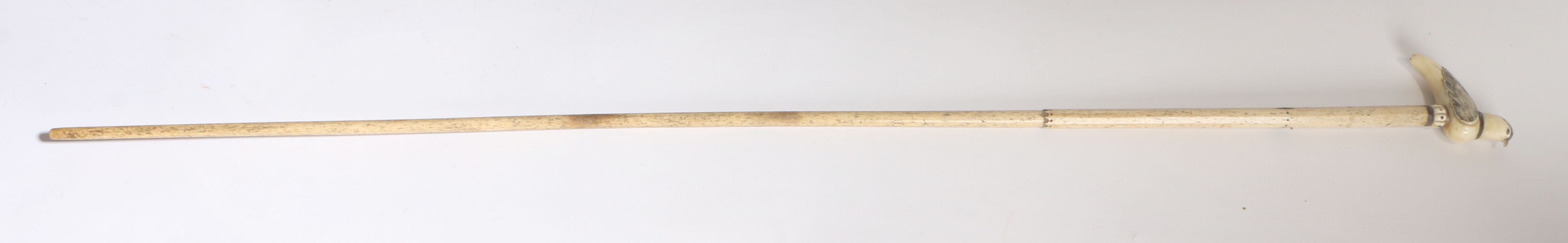 A 19th century whalebone walkingstick, the handle in the form of a sea bird perched on the stick - Image 2 of 2