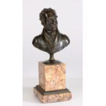 A 19th century bronze bust of the Duke of Wellington, raised on a marble plinth, 24.5cm high