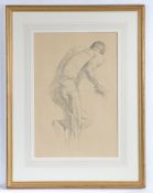 British School (20th Century) Male Nude life drawing in pencil 42 x 29cm (16.5" x 11.5")