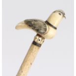 A 19th century whalebone walkingstick, the handle in the form of a sea bird perched on the stick