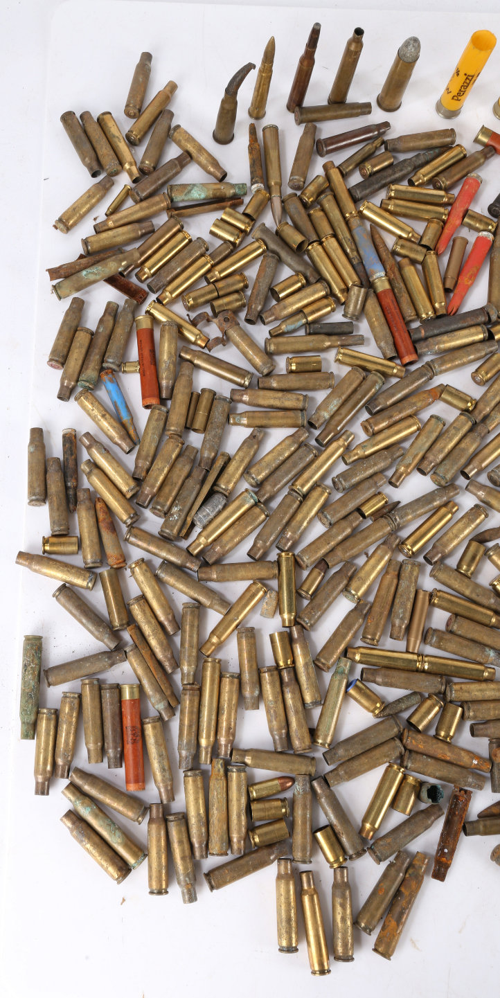 Collection of small calibre brass shell cases, some with projectiles, inert, (qty) - Image 3 of 7