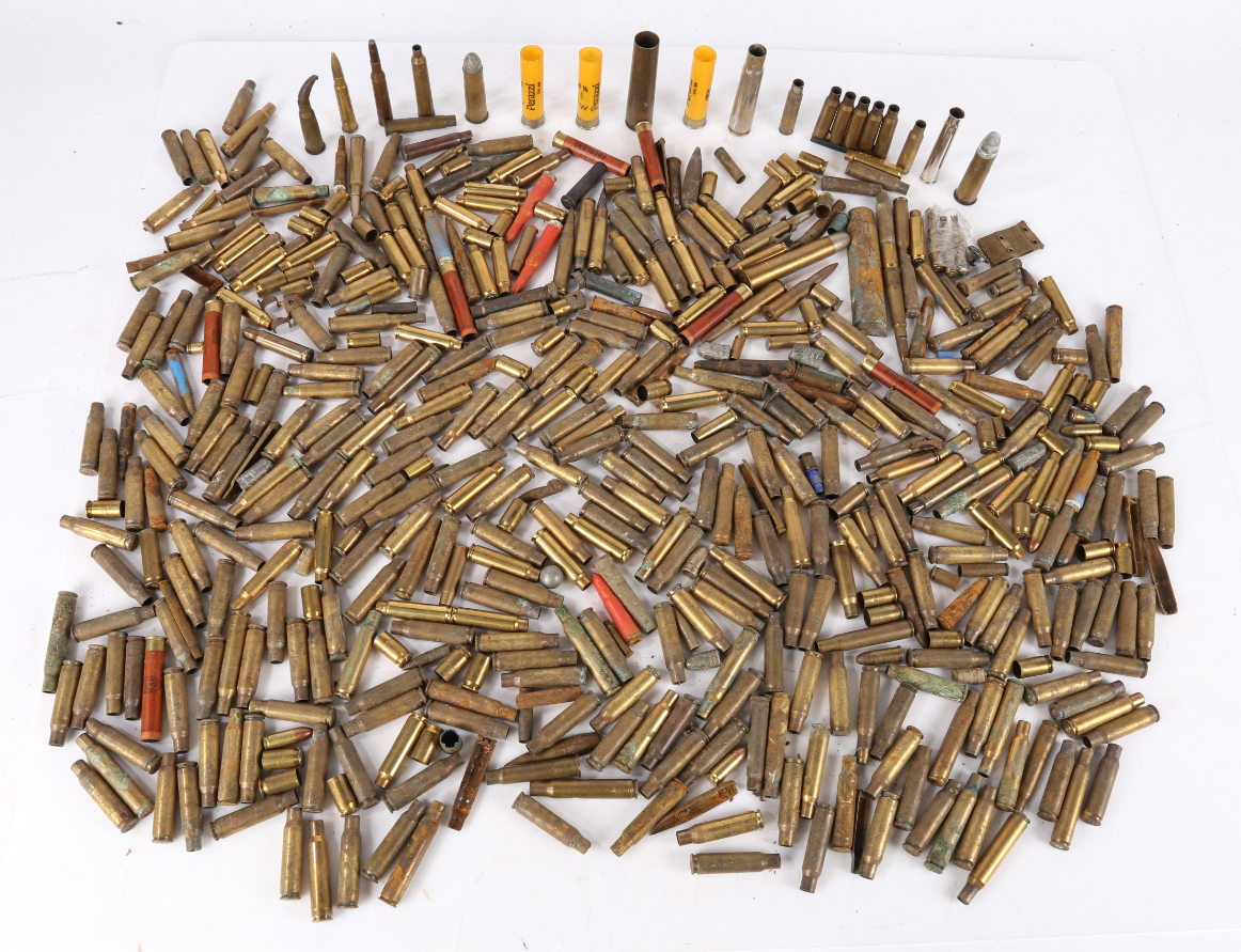 Collection of small calibre brass shell cases, some with projectiles, inert, (qty)