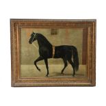 A M Selfe (British, 20th Century) Horse Head signed and dated 1957 (lower right), pastel 31 x