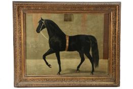 A M Selfe (British, 20th Century) Horse Head signed and dated 1957 (lower right), pastel 31 x