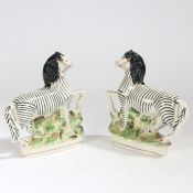 A pair of 19th century Staffordshire zebras, modelled wearing reigns and on naturalistic bases, 22cm