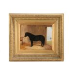 English School (19th Century) Shetland Pony in a Stable oil on board 22 x 29cm (9'' x 11.5'')