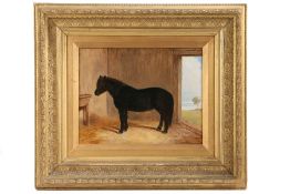 English School (19th Century) Shetland Pony in a Stable oil on board 22 x 29cm (9'' x 11.5'')