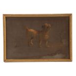 A small 20th Century pastel study of a terrier, housed in a gilt and glazed frame, the pastel 22.5cm
