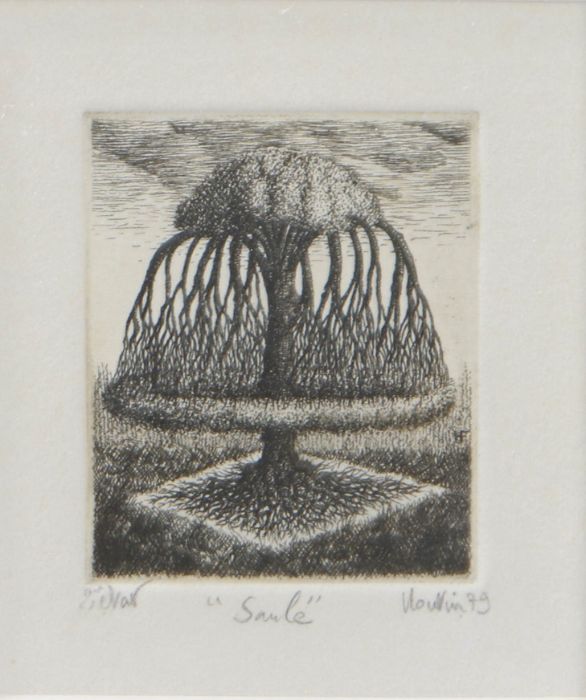 Francois Houtin (French, b.1950) 'Saule' signed, dated '95, titled and inscribed  in pencil, etching