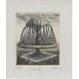 Francois Houtin (French, b.1950) 'Saule' signed, dated '95, titled and inscribed  in pencil, etching