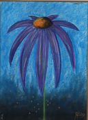Kelly Jane (British, b.1956) Purple Flower signed (lower right), pastel 37 x 27cm (14.5" x 10.5")